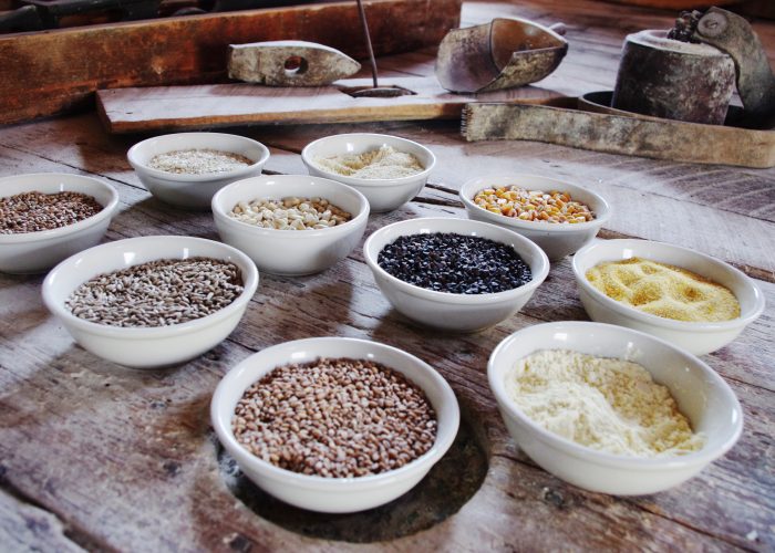 premium grains for sale