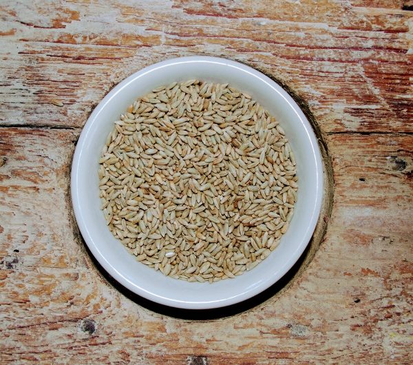 Whole Grain Rye Flour NonGMO Stone Ground Whole Rye