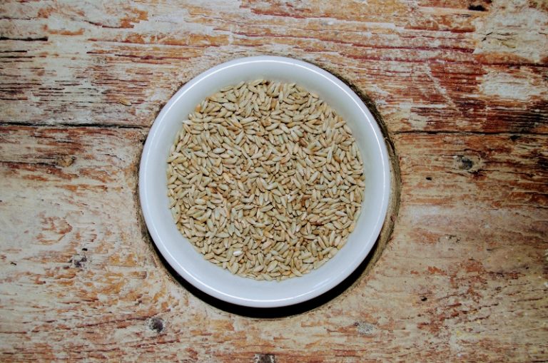 Whole Grain Rye Flour | Non-GMO Stone Ground Whole Rye