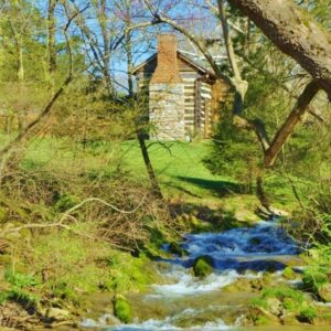 The School Teacher's Cabin